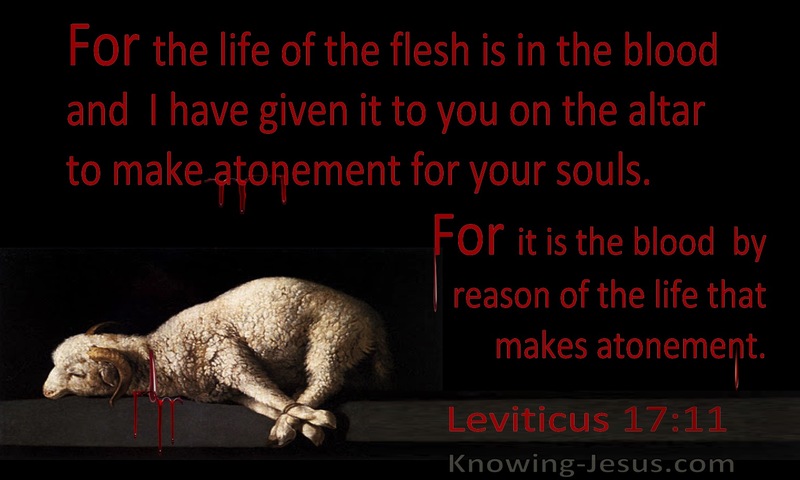 Leviticus 17:11 The Life Of The Flesh Is In The Blood (black)